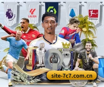 site-7c7.com.cn APP